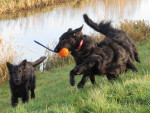 Daantje, Merel en Maartje